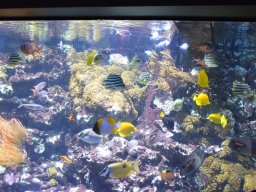 2015-04-18_Zoo_Leipzig