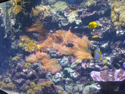 2015-04-18_Zoo_Leipzig