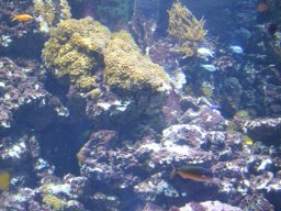 2015-04-18_Zoo_Leipzig