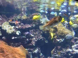 2015-04-18_Zoo_Leipzig