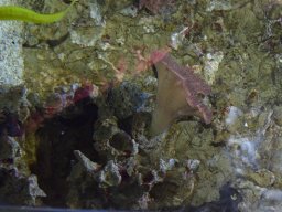 2015-04-18_Zoo_Leipzig