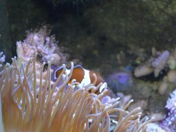 2015-04-18_Zoo_Leipzig