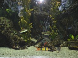 2015-04-18_Zoo_Leipzig