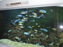 2015-04-18_Zoo_Leipzig