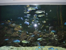 2015-04-18_Zoo_Leipzig