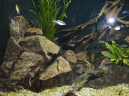 2015-04-18_Zoo_Leipzig