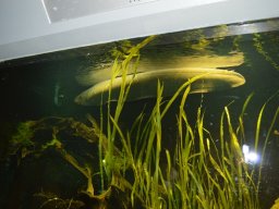 2015-04-18_Zoo_Leipzig