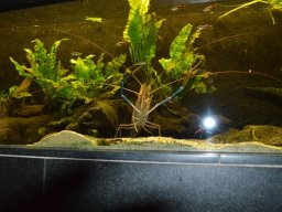 2015-04-18_Zoo_Leipzig