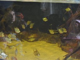 2015-04-18_Zoo_Leipzig