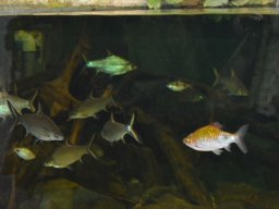 2015-04-18_Zoo_Leipzig