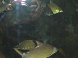 2015-04-18_Zoo_Leipzig