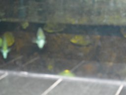 2015-04-18_Zoo_Leipzig