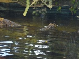 2015-04-18_Zoo_Leipzig