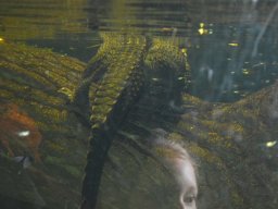 2015-04-18_Zoo_Leipzig