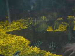 2015-04-18_Zoo_Leipzig