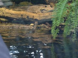 2015-04-18_Zoo_Leipzig