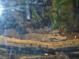 2015-04-18_Zoo_Leipzig