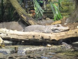 2015-04-18_Zoo_Leipzig