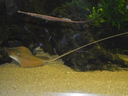 2015-04-18_Zoo_Leipzig