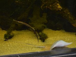 2015-04-18_Zoo_Leipzig