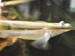 2015-04-18_Zoo_Leipzig