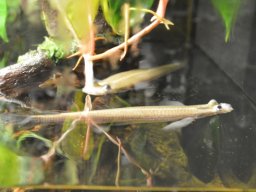 2015-04-18_Zoo_Leipzig