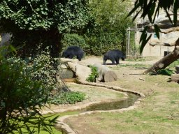 2015-04-18_Zoo_Leipzig