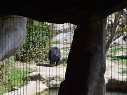 2015-04-18_Zoo_Leipzig