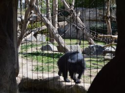 2015-04-18_Zoo_Leipzig