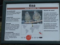 2015-04-18_Zoo_Leipzig