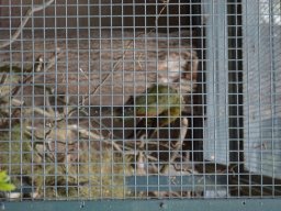 2015-04-18_Zoo_Leipzig