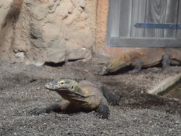 2015-04-18_Zoo_Leipzig