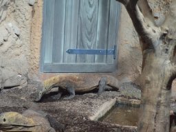 2015-04-18_Zoo_Leipzig