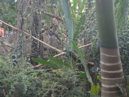 2015-04-18_Zoo_Leipzig