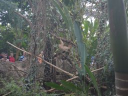 2015-04-18_Zoo_Leipzig