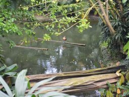 2015-04-18_Zoo_Leipzig