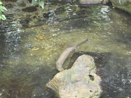 2015-04-18_Zoo_Leipzig