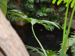 2015-04-18_Zoo_Leipzig