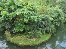 2015-04-18_Zoo_Leipzig