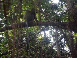 2015-04-18_Zoo_Leipzig