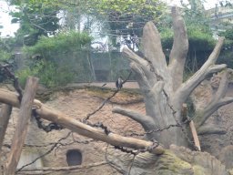 2015-04-18_Zoo_Leipzig