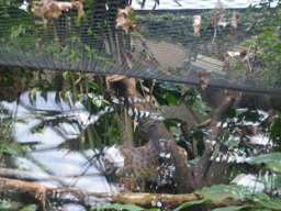 2015-04-18_Zoo_Leipzig