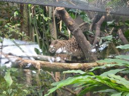 2015-04-18_Zoo_Leipzig