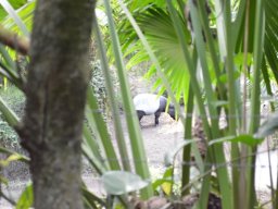 2015-04-18_Zoo_Leipzig