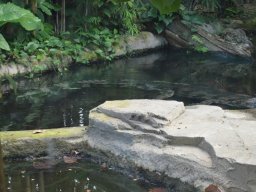 2015-04-18_Zoo_Leipzig