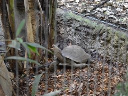 2015-04-18_Zoo_Leipzig
