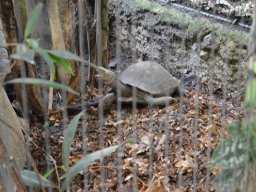 2015-04-18_Zoo_Leipzig