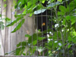 2015-04-18_Zoo_Leipzig