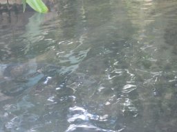 2015-04-18_Zoo_Leipzig