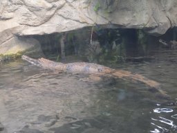 2015-04-18_Zoo_Leipzig